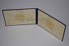 Стоимость диплома техникума УзбекАССР 1975-1991 г. в Курганинске (Краснодарский Край)